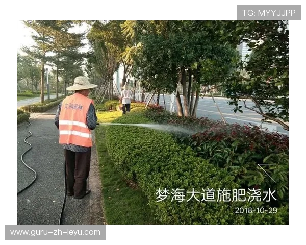 世界板球技术研究院发布草皮耐寒养护建议 世界板球技术研究院发布草皮耐寒养护建议